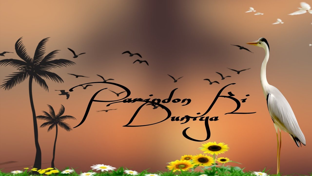 parindon Ki duniya || is parinde ka naam batao