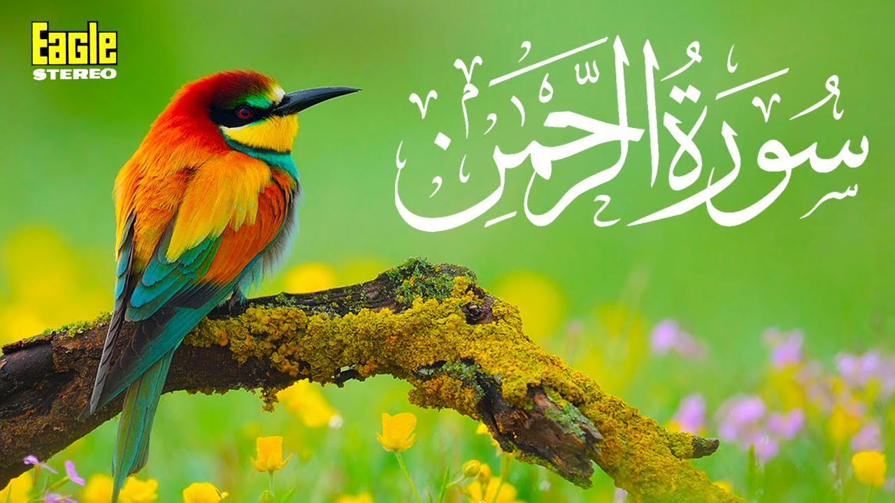 Surah Rehman | Holy Quran | Qari Shakir Qasmi | Eagle Stereo | HD Video