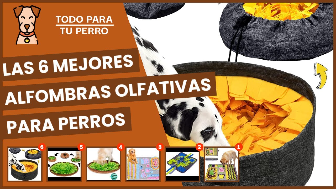 Las 6 mejores alfombras olfativas para perros