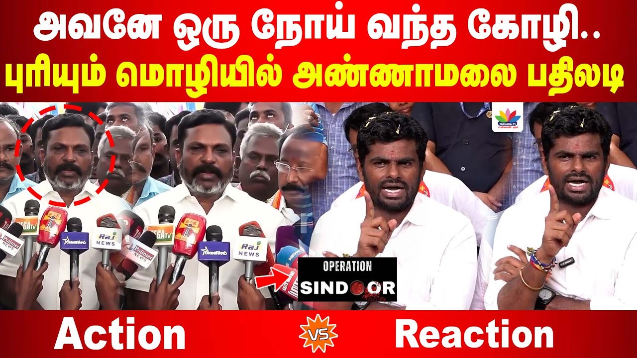 Wanted-ஆக வந்து சிக்கிய திருமாவளவன் | புரியும் மொழியில் அண்ணாமலை தக்க பதிலடி | Annamalai Vs Thiruma