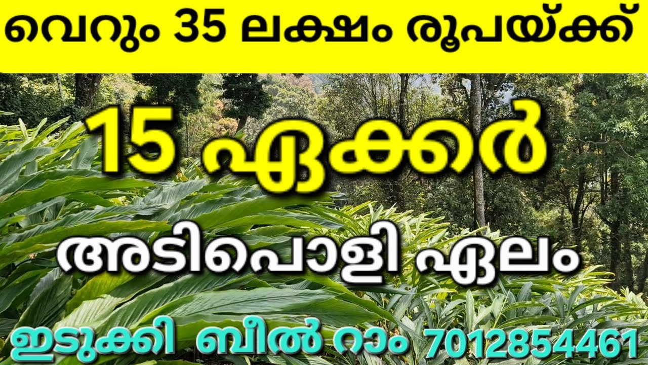 മൊത്ത വില 35 ലക്ഷം രൂപ... 15 ഏക്കർ. അടിപൊളി ഏലം ഇടുക്കി  ബീൽ റാം...👇👇 Details, 👇👇