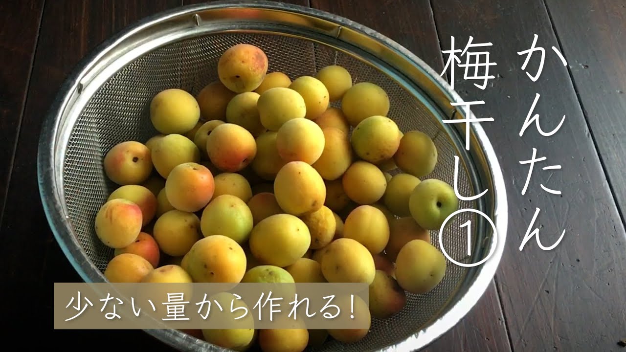 少量からでも作れる！ジップロックでかんたん自家製梅干し①＃梅干し＃umeboshi#japanesefood