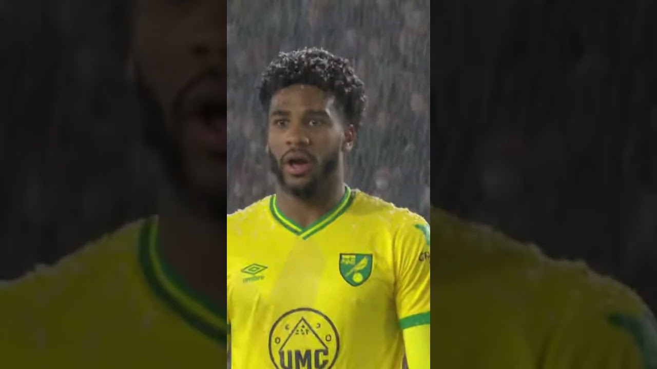This Cat Saved the Goal in a Snowstorm 😱❄️🐱 | Кіт врятував ворота у заметіль!