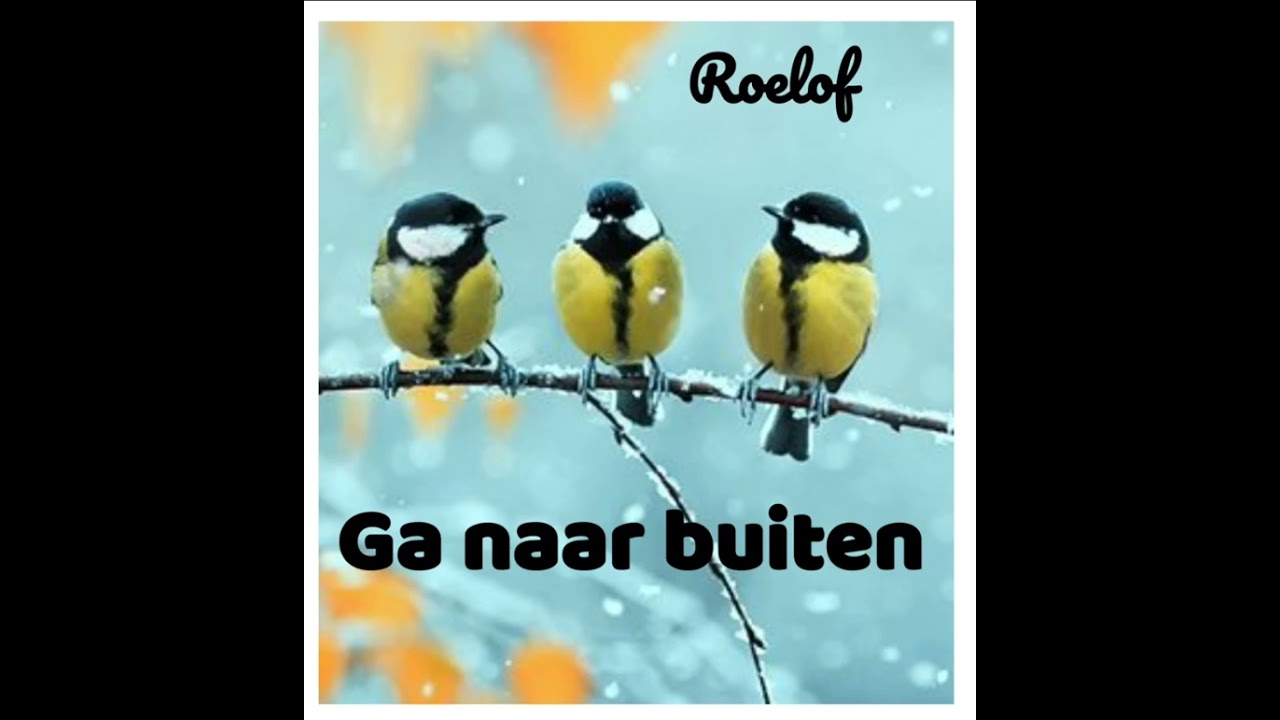 Roelof - Ga naar buiten