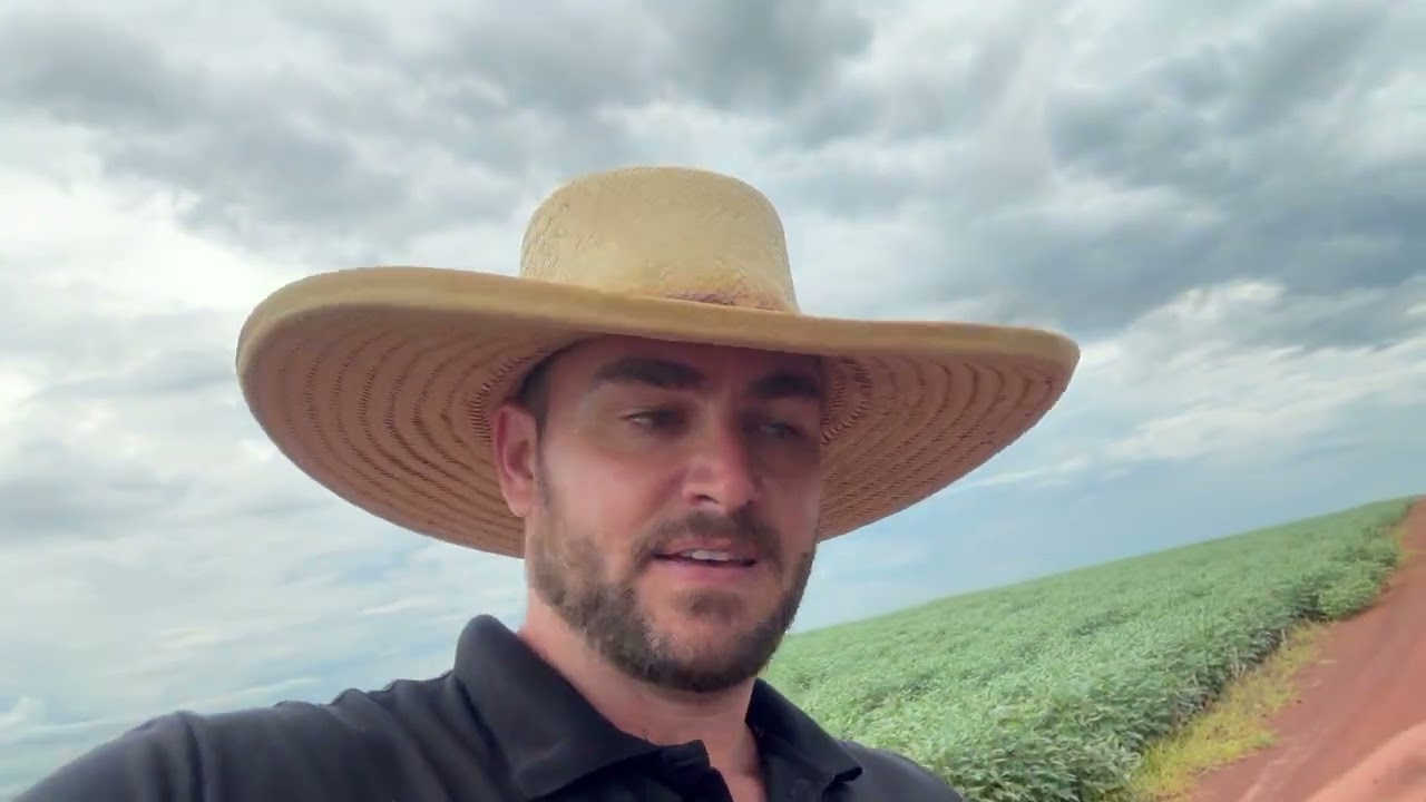 FAZENDA PARA ARRENDAMENTO NO MATO GROSSO