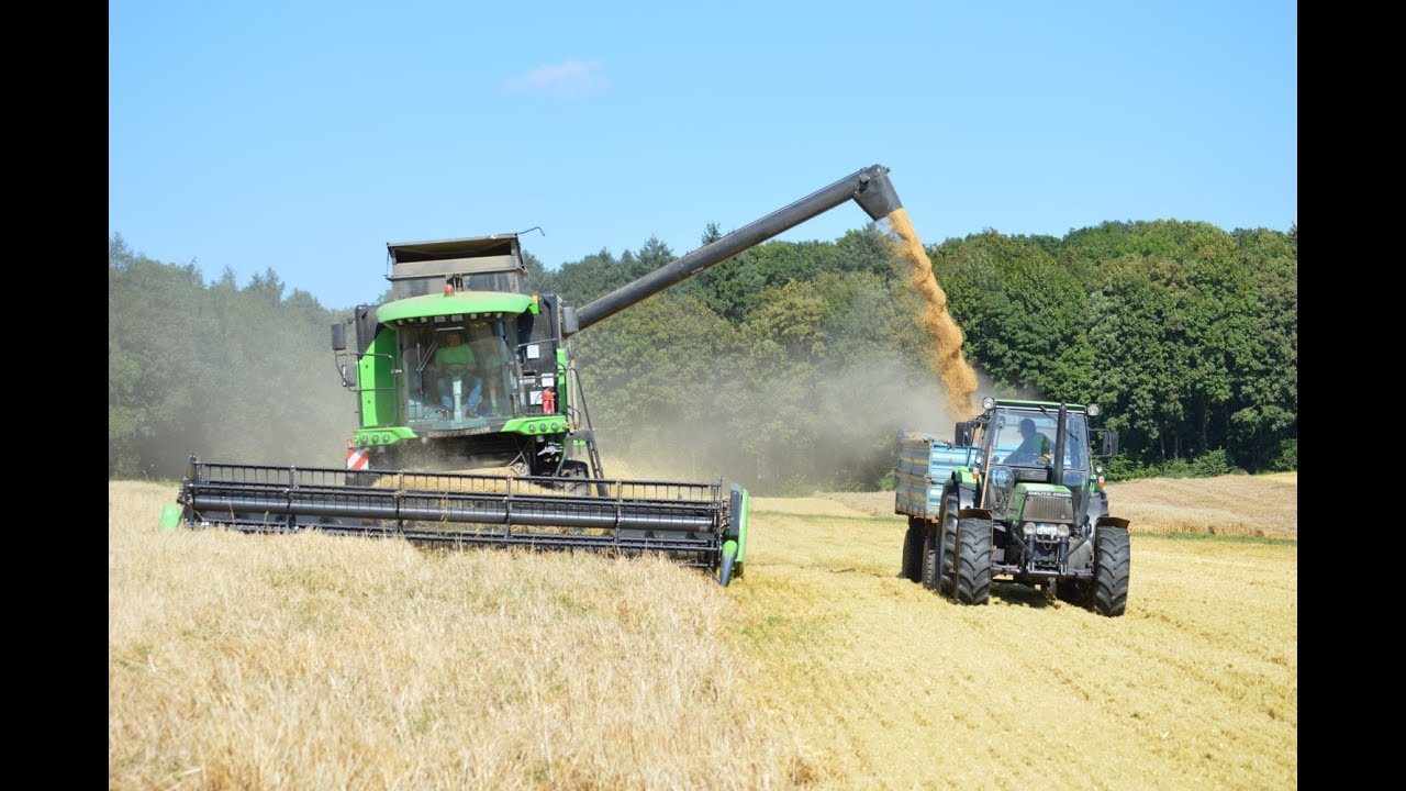 Dreschen mit einem Deutz-Fahr 6095 HTS