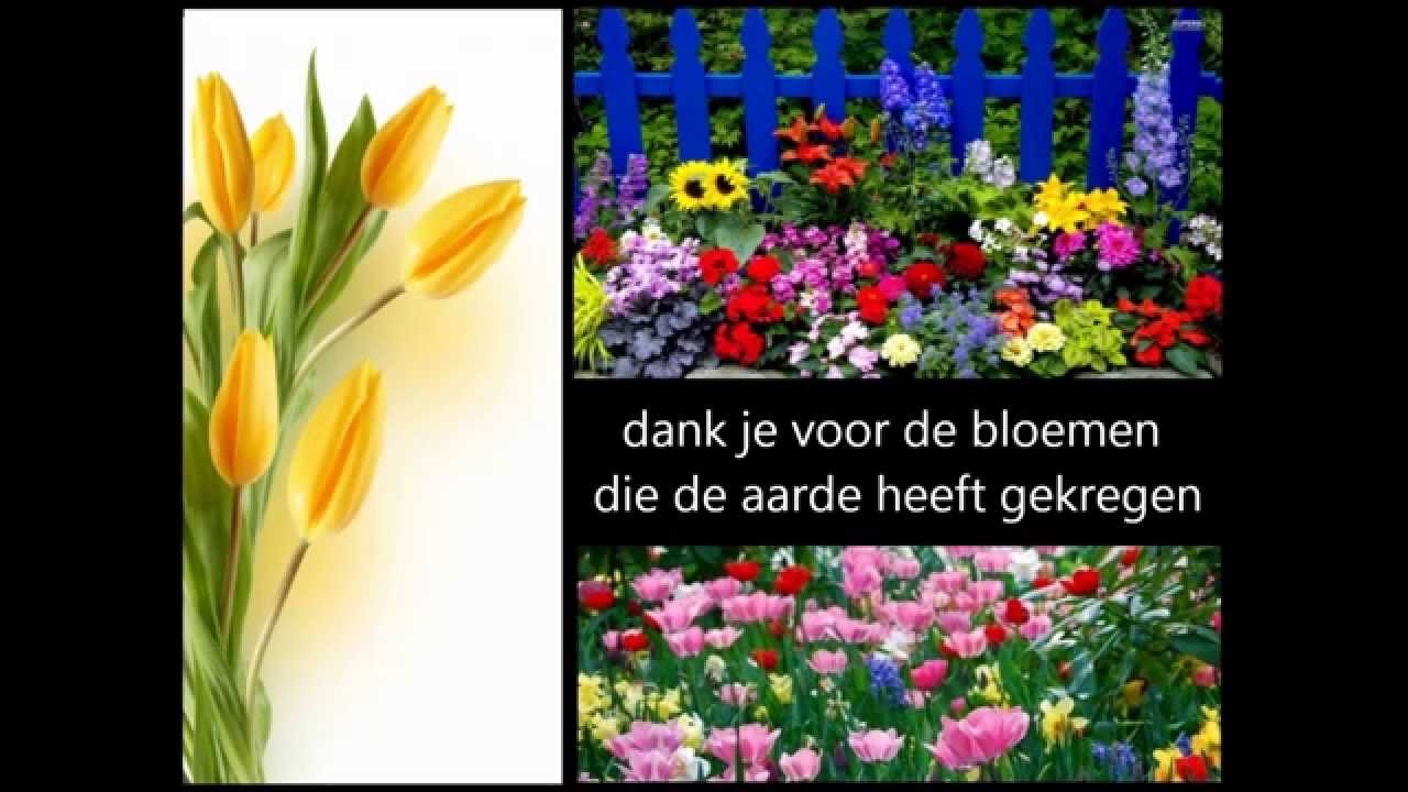 In het aardse paradijs