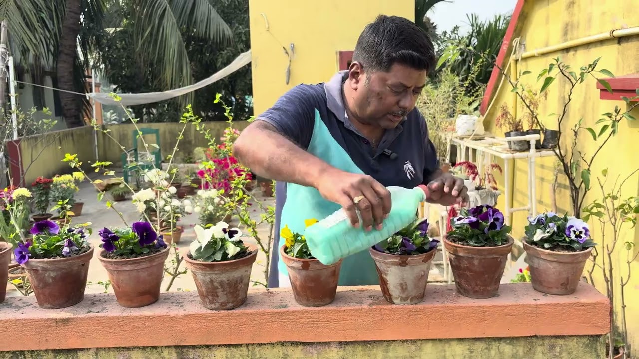 Sabujer Thikana chadbagane Panji phuler update | ft. Niloy | video #005