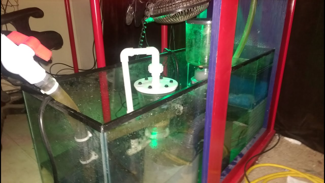 Aquarium Maintenance / Sump Cleanout