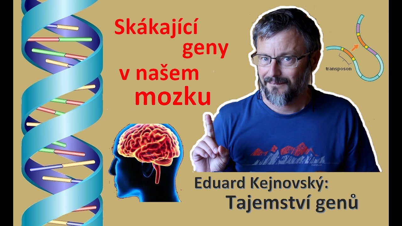 Skákající geny v našem mozku (Tajemství genů 21)