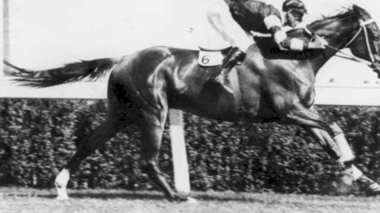 Rev. John Flynn & Phar Lap