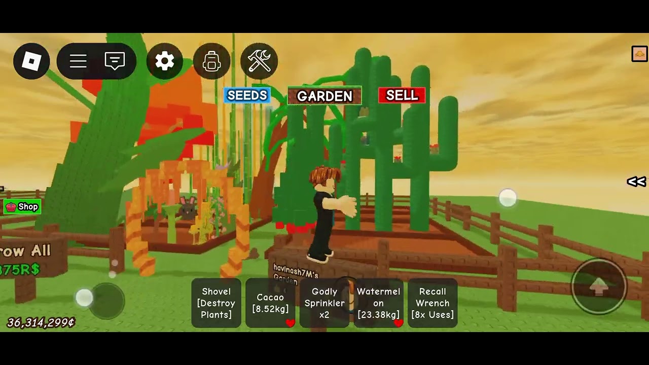 Playing Grow a Garden Roblox in teluge
