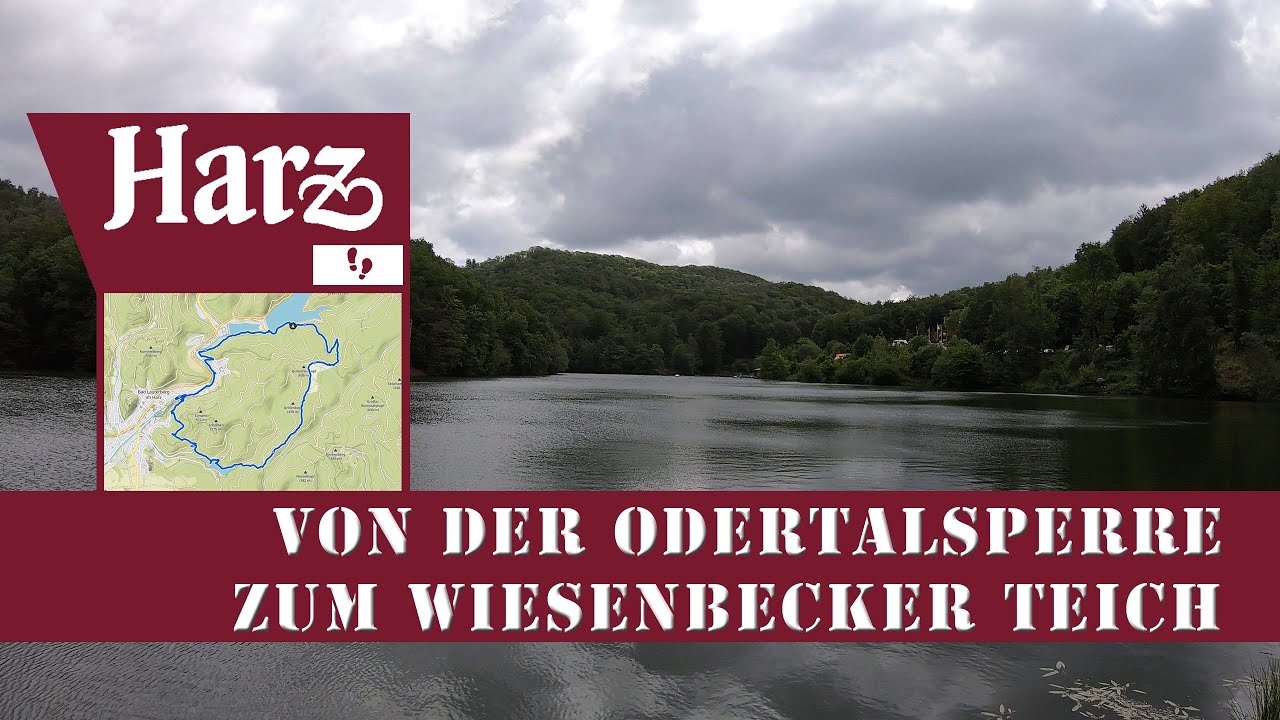 Wanderung : Von der Odertalsperre zum Wiesenbecker Teich : Harz