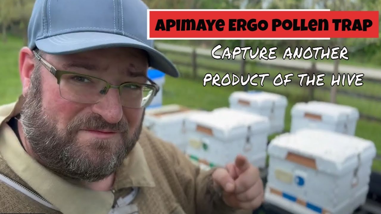 Harvesting Bee Pollen | Apimaye | Beekeeping Equipment Review