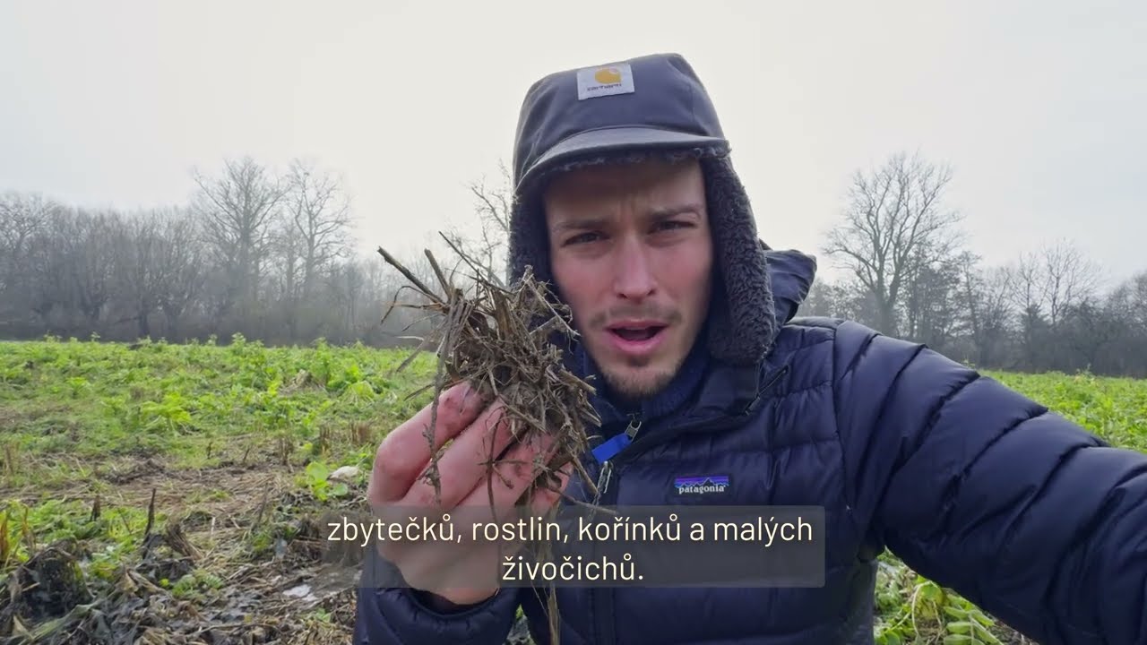 Reportáže z přírody: Proč chránit přírodu?