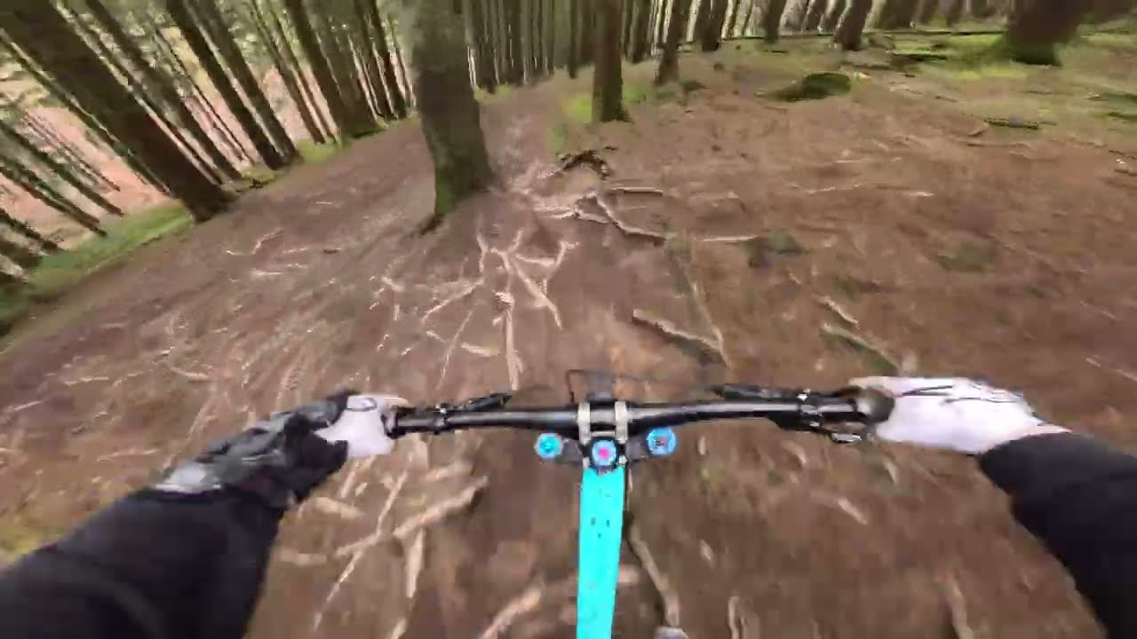 Forest Of Dean Corkscrew
