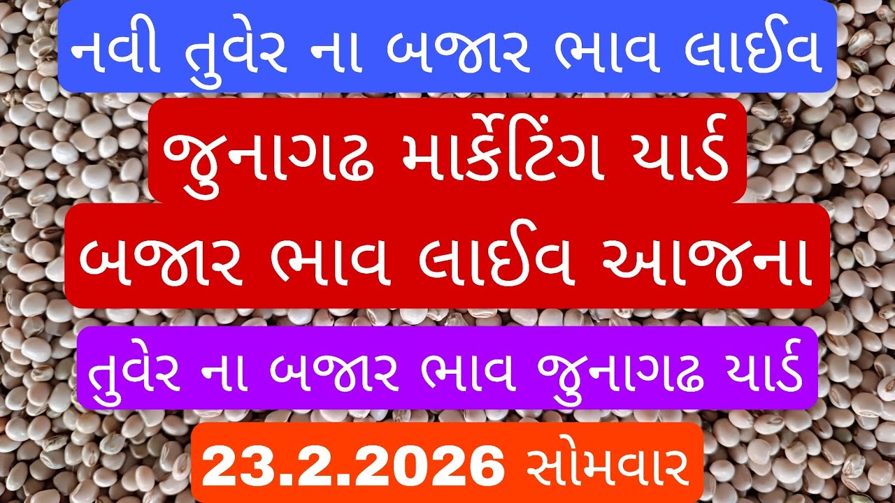 નવી તુવેર ના બજાર ભાવ / તુવર ના ભાવ આજના / નવી તુવેર ની હરાજી લાઈવ જુનાગઢ  / junagadh marketing yard