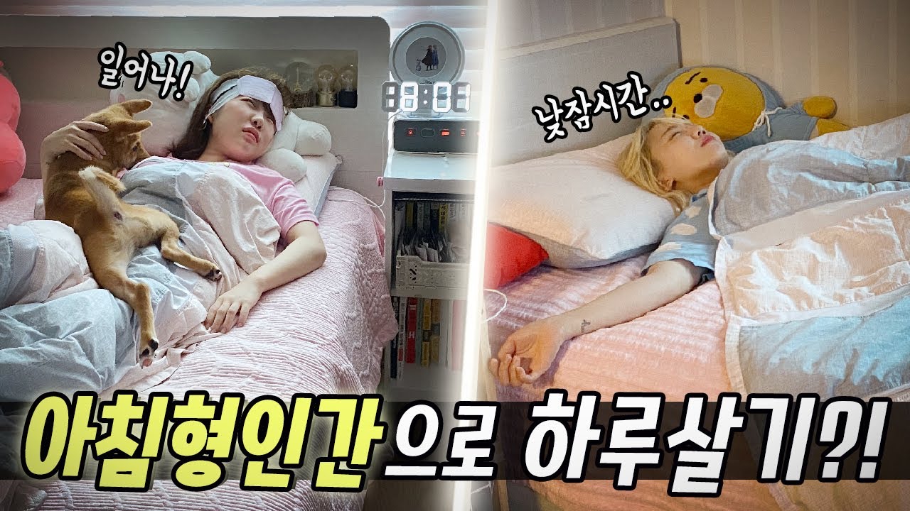 오전 8시에 일어나는 아침형 인간으로 살아봤습니다..과연 아침형인간으로 살수 있을까?! [예씨 yessii]