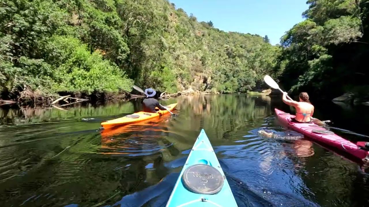 Kayaking Kaaimans River