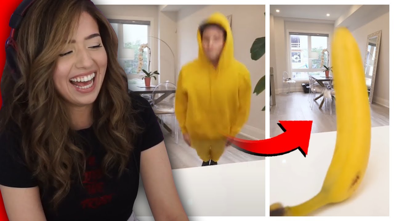 Pokimane reacts to Daily Dose of Internet