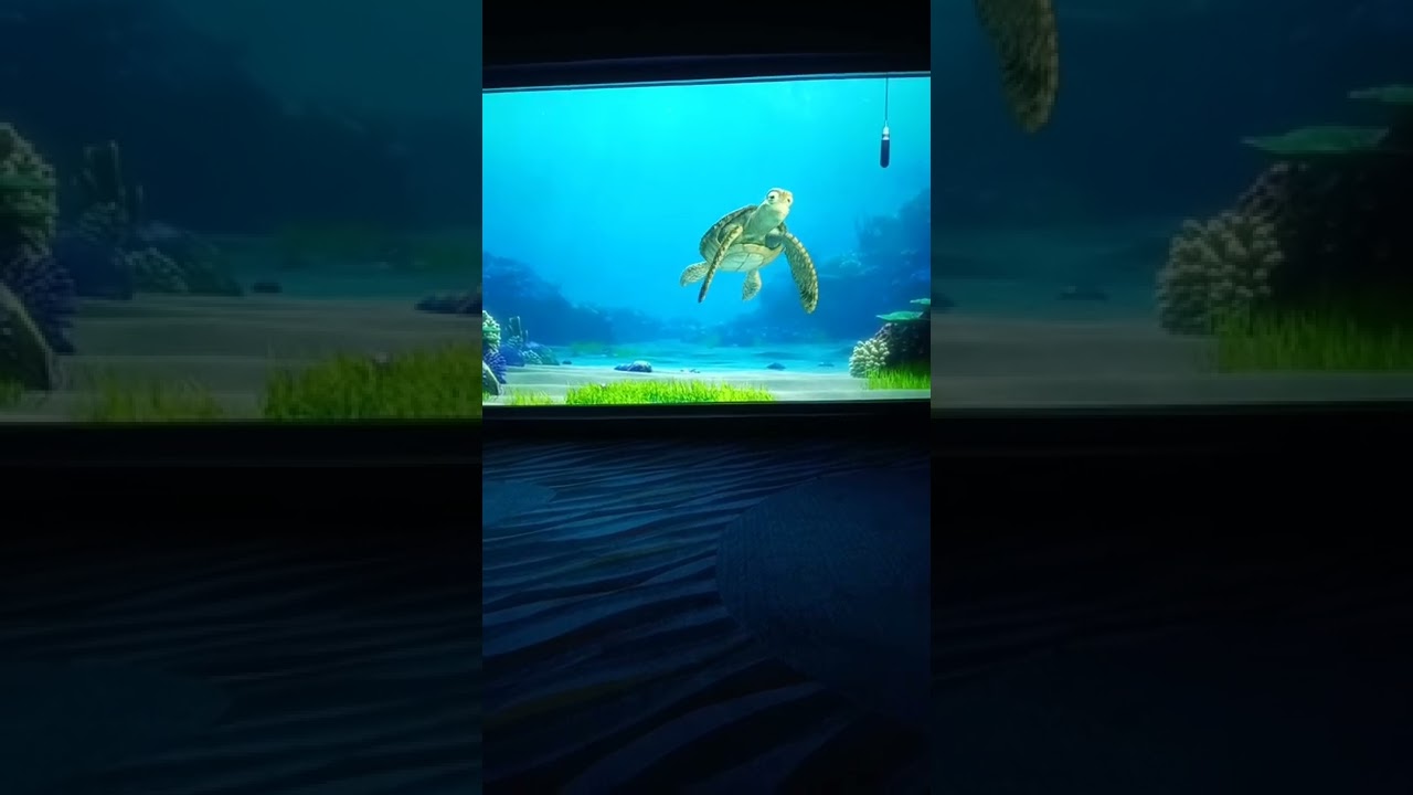 Turtle Talk with crush solo in the room (Magical Moment)