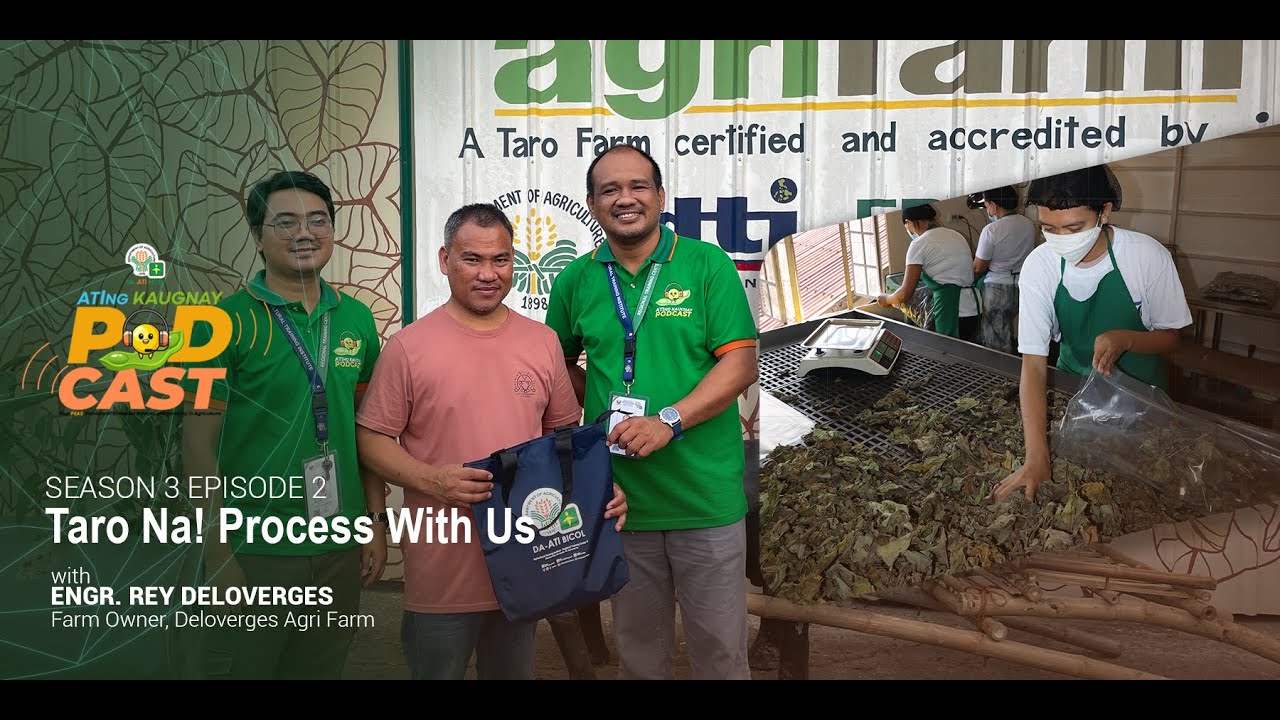 ATIng Kaugnay Podcast S3E2 Taro Processing Facility with Engr. Rey Deloverges