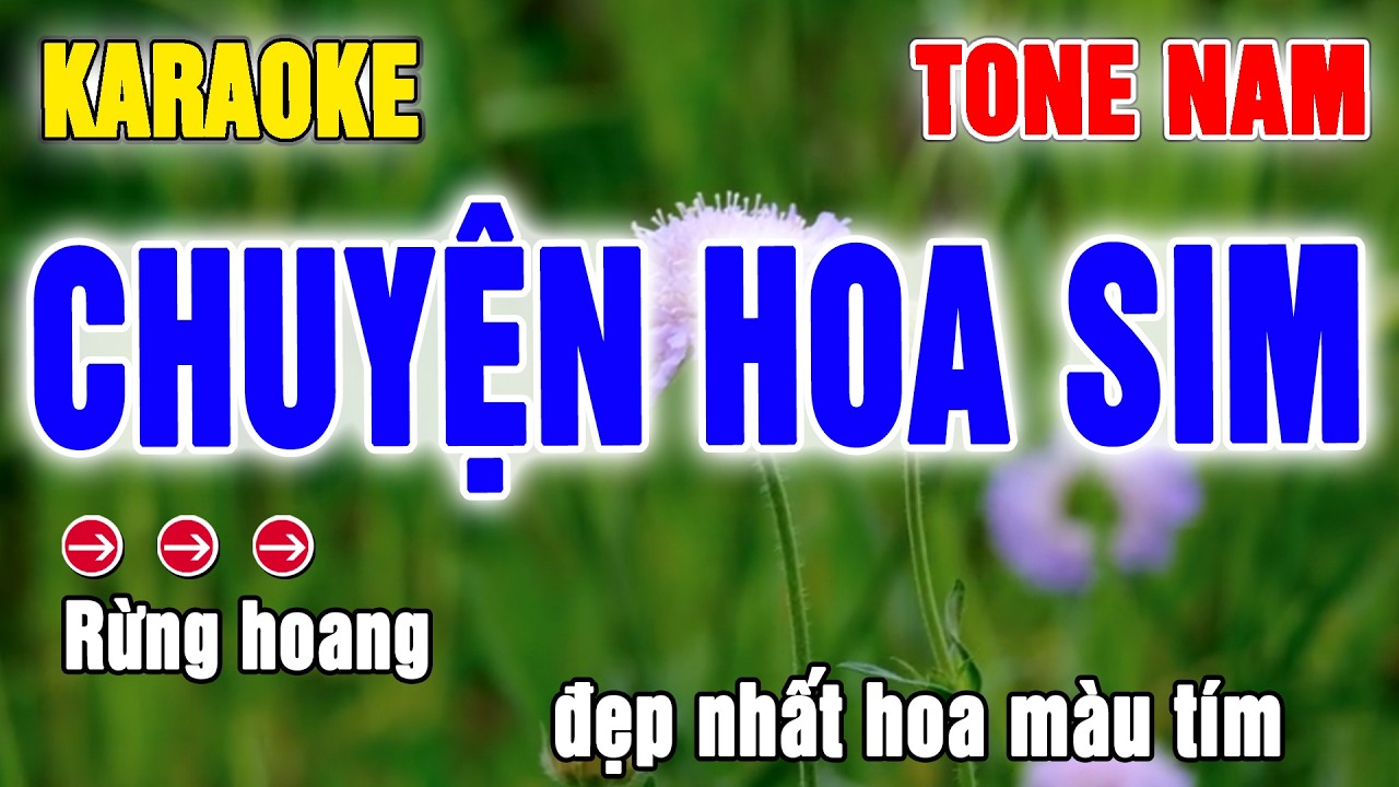 Chuyện Hoa Sim Karaoke Tone Nam | Beat Thanh Hà