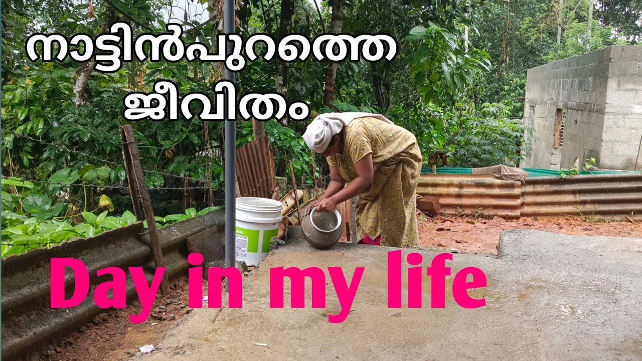 സന്ധ്യ ആയാലും ചെയ്യാൻ വിചാരിച്ച പണി ചെയ്യണം   | day in my life |village life style 