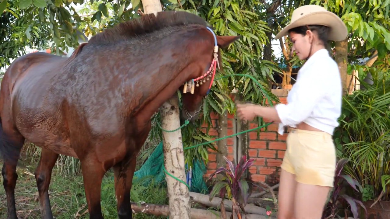 My Honey training Basics at the Small Park , How to train cute horse #02