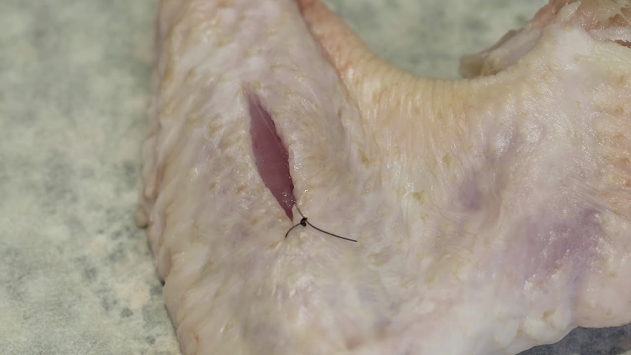 Basic techniques in veterinary surgery: simple interrupted suture