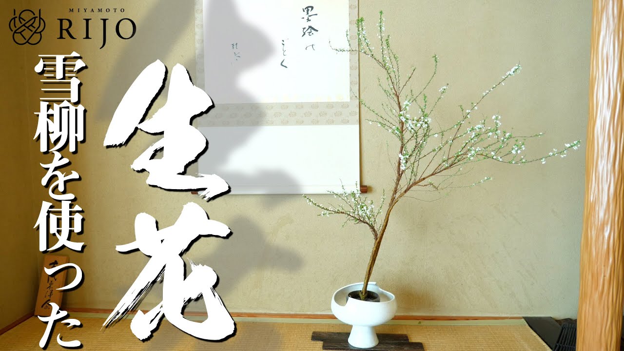 雪柳の生花（せいか）の実演！美しい伝統的な古流生花をご紹介します！【Ikebana】生け花レッスン