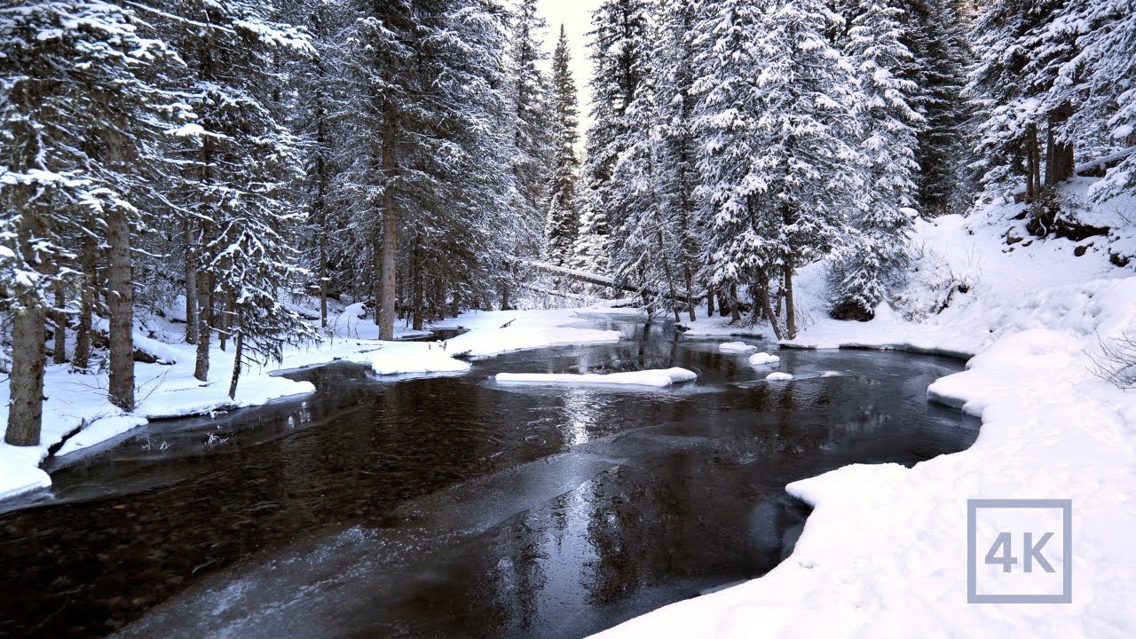 Stunning Scenery & Peaceful Sounds of a Snowy Mountain Forest in 4K UHD: Water Sounds for Sleeping