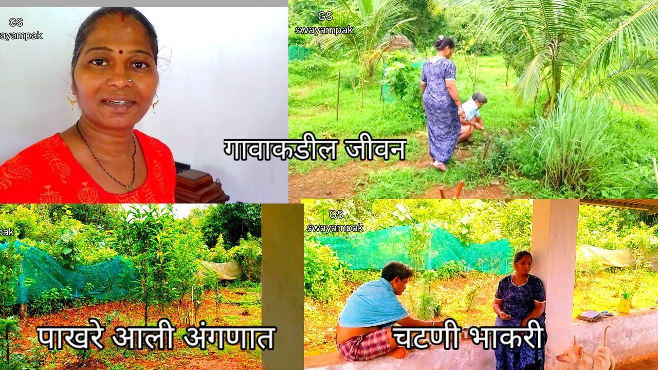 सगळ्याच गोष्टी वेळेत होत नाही, पाखरे  आली अंगणात 🙏@sadhaswayampak  daily routine vlog