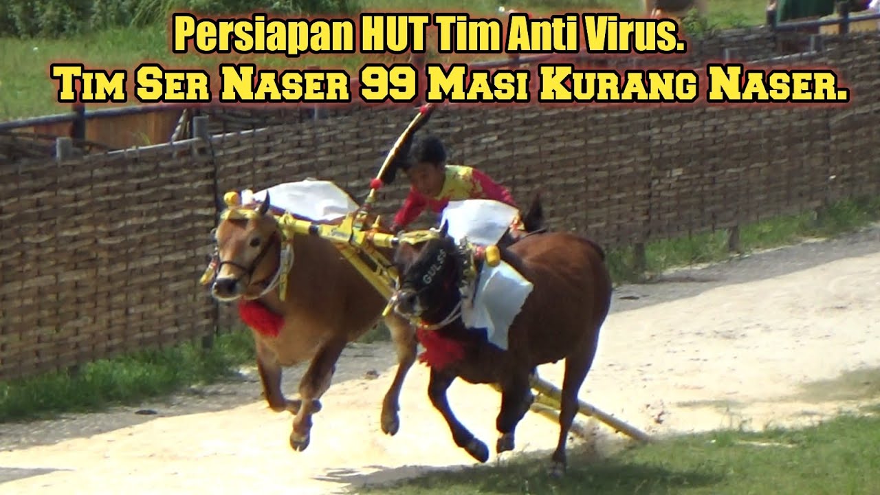 Persiapan HUT Tim Anti Virus | Tim Ser Naser 99 Masi Kurang Naser. 