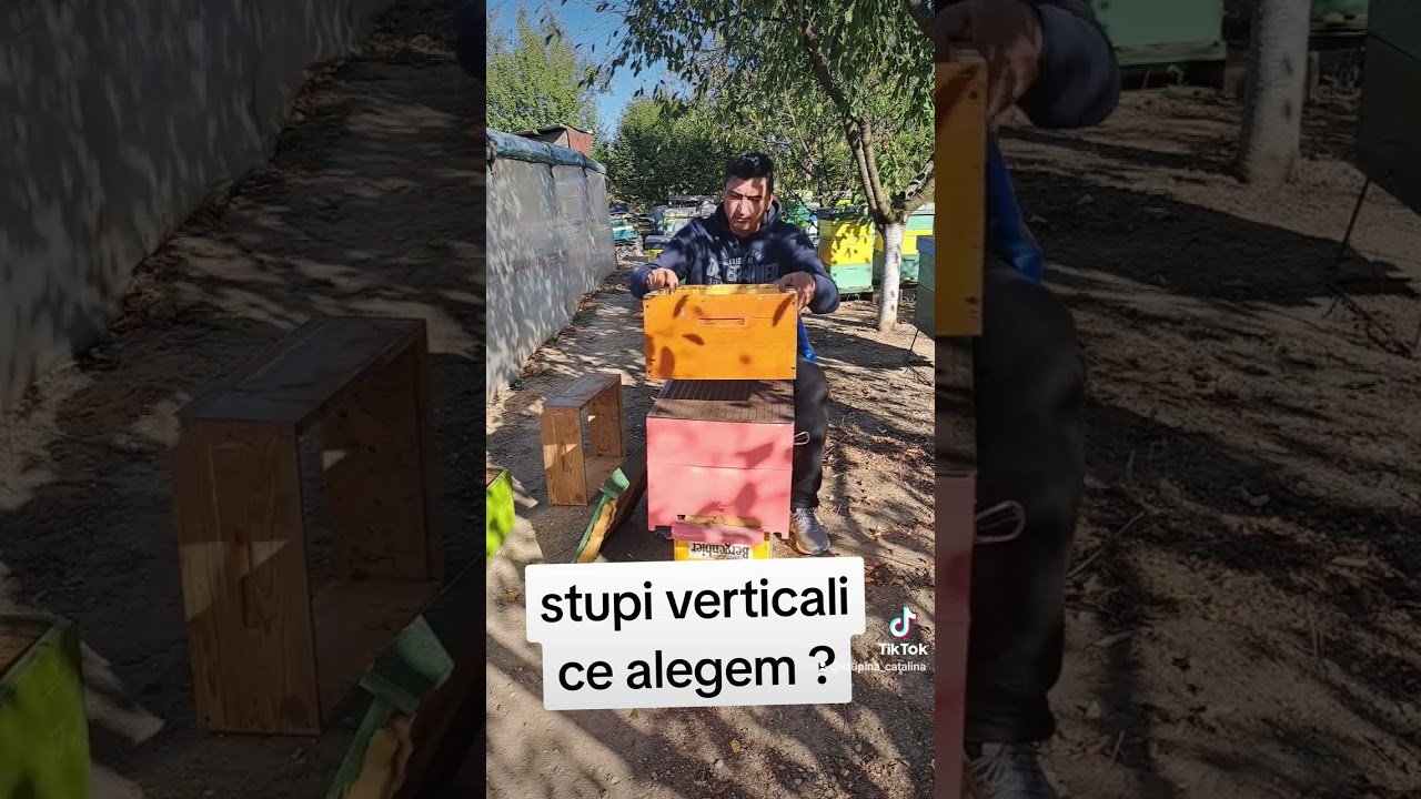 71.stupi verticali , ce alegem ?