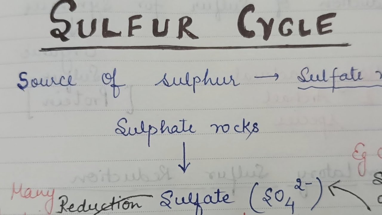 Biogeochemical Cycle: Sulphur Cycle
