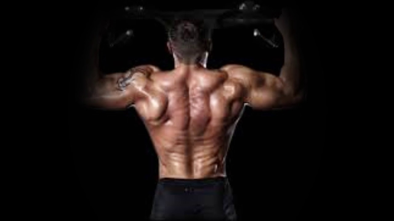 - EXTREME BACK MUSCLES GROWTH - Subliminal Messages & Binaural Beats (Strength, Width, Regeneration)