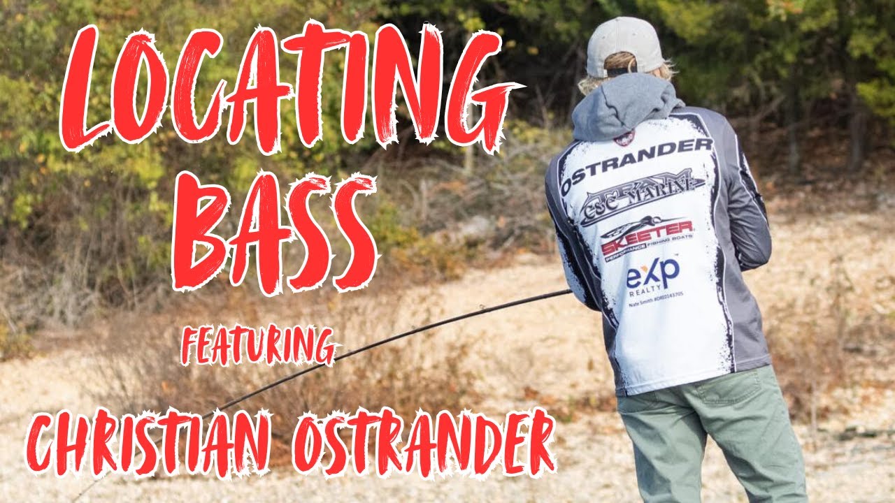 . How to Locate Bass: Tips for Successful Fishing.