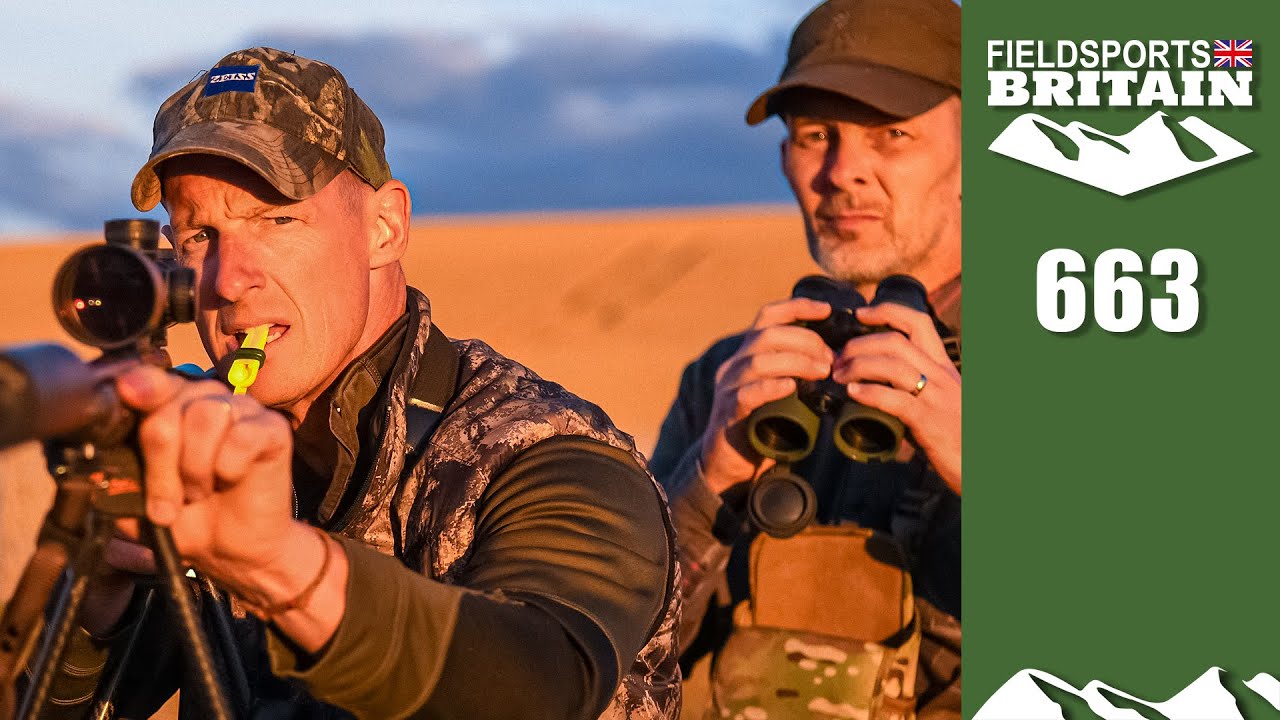 Fieldsports Britain – roebuck rut hunt