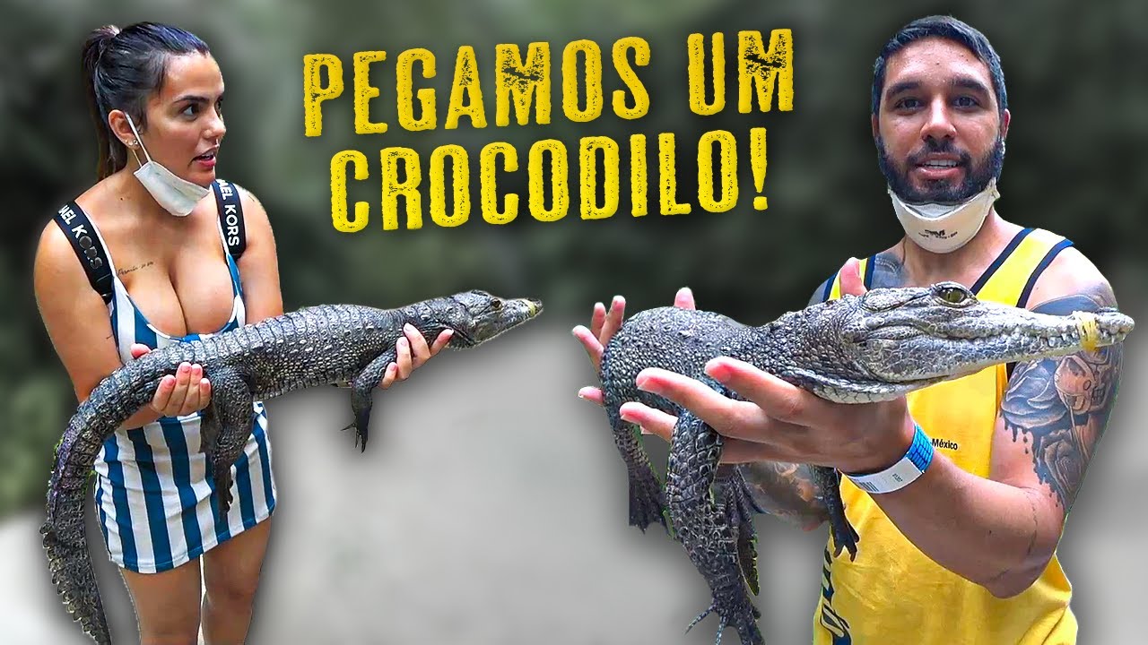 PEGAMOS UM CROCODILO! ! ! MEU DEUS DO CÉU ! ! !