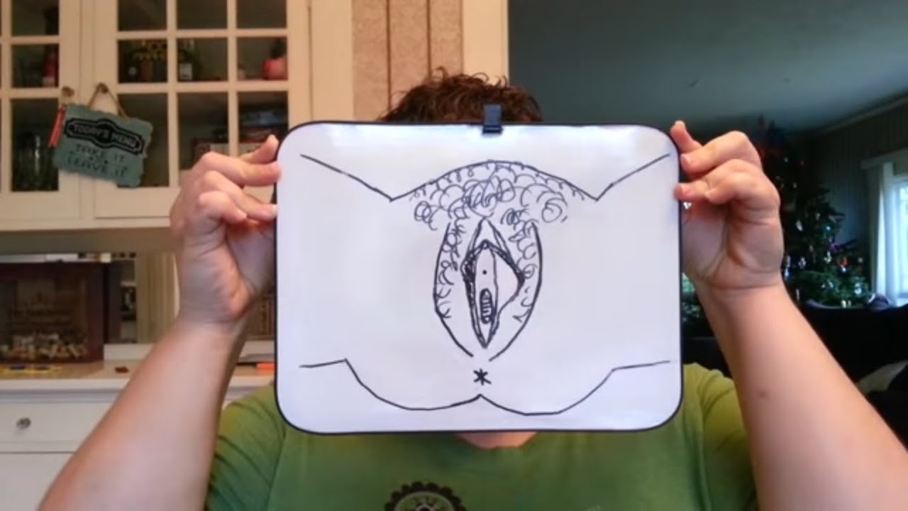 Not Just A Vagina?! - Female Genitalia