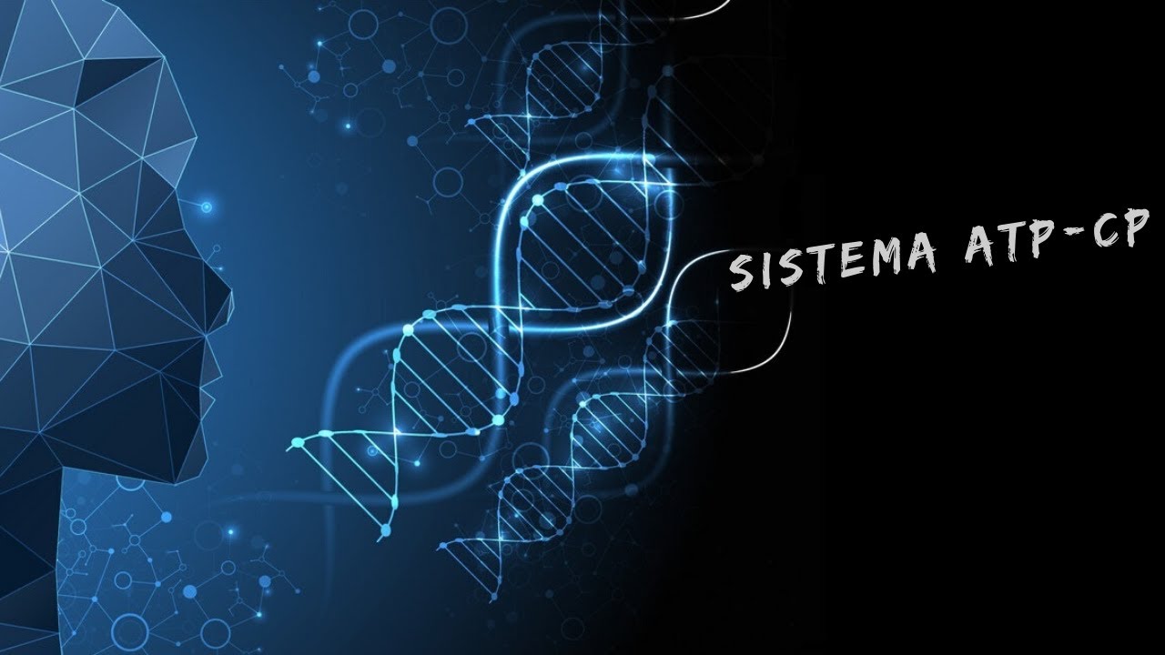 Sistema ATP-CP