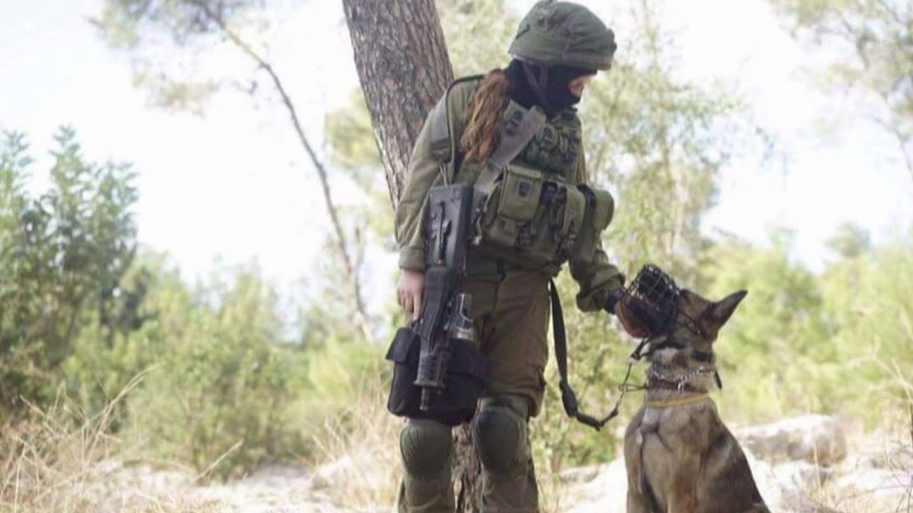 לוחמים על ארבע: הצצה לאימון המיוחד של עוקץ