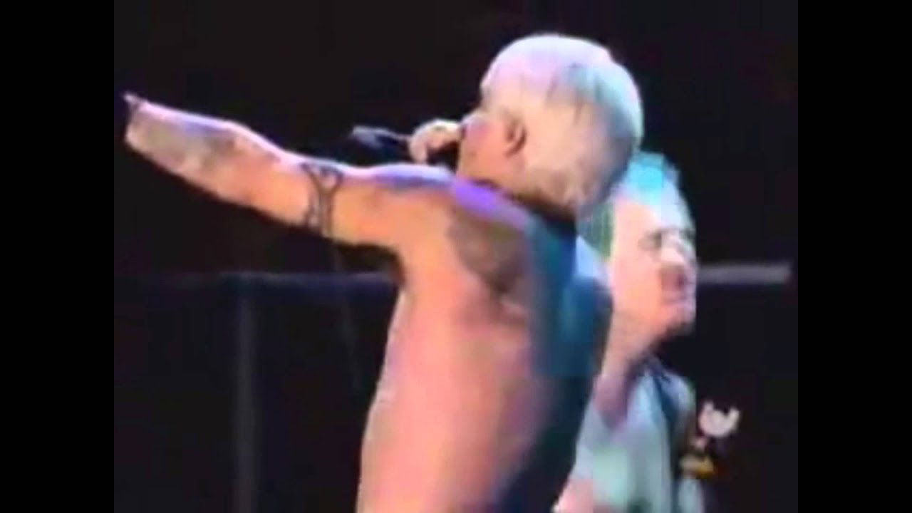 Red Hot Chili Peppers - a Fan Goes on Stage LIVE [Woodstock 99']