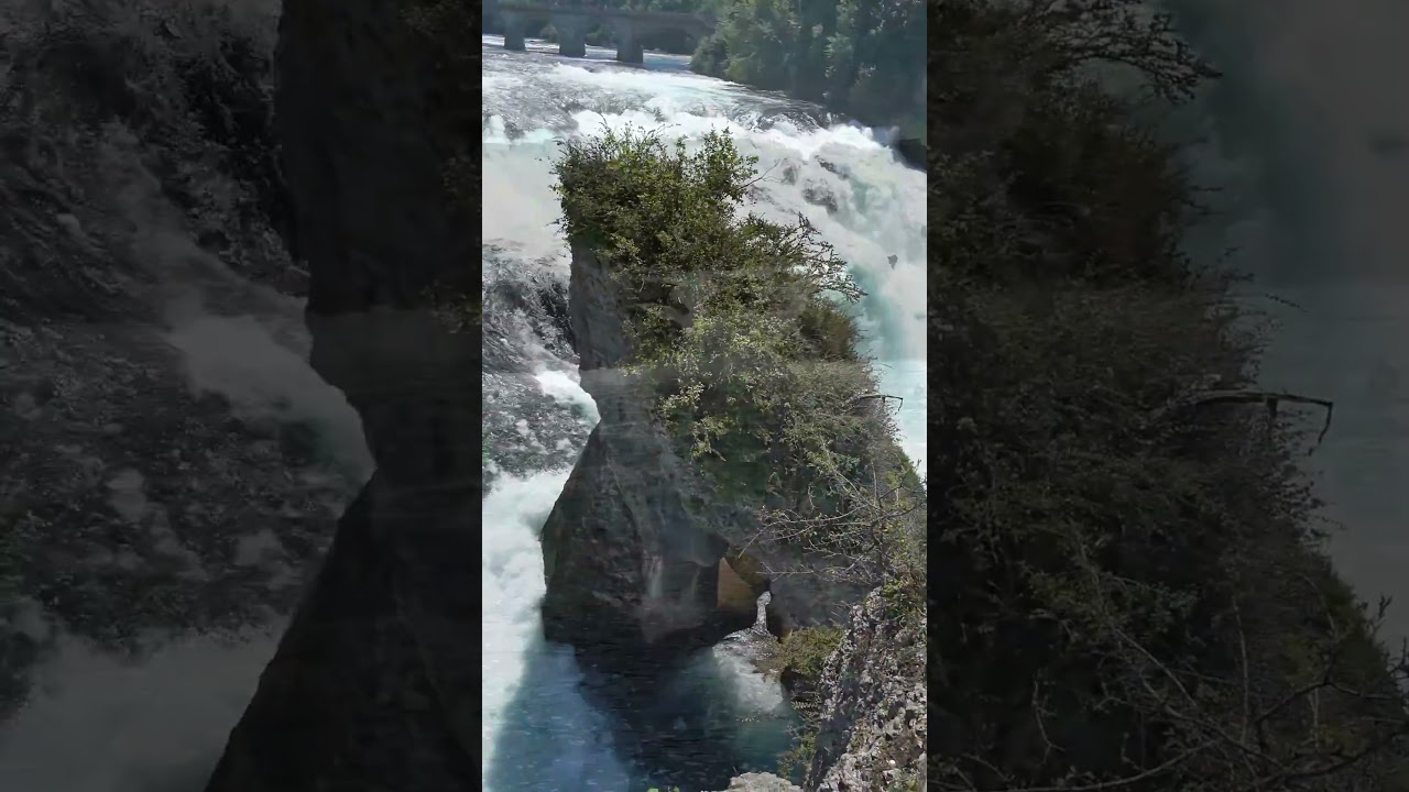 Naturgewalt pur - der Rheinfall von Schaffhausen #rheinfall #schweiz #natur