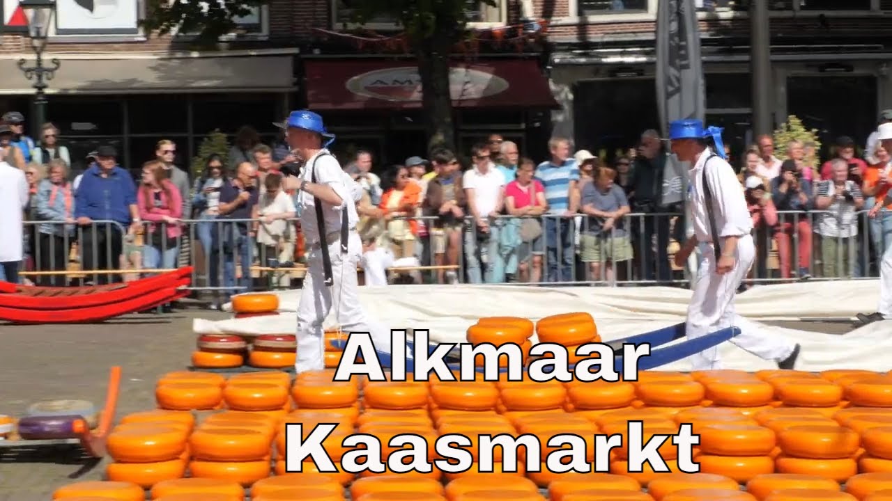 Kaasmarkt Alkmaar 2024