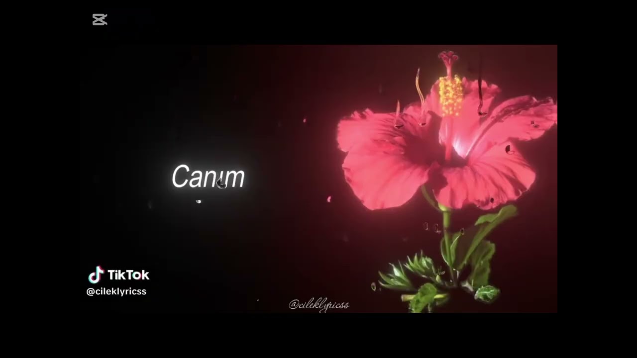 2026 EN İYİ ŞARKILARİ #1