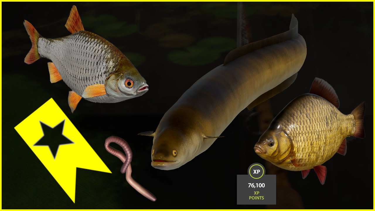 Russian Fishing 4 Old Burg Trophy EEL AAL WĘGORZ | rf4 spot #281