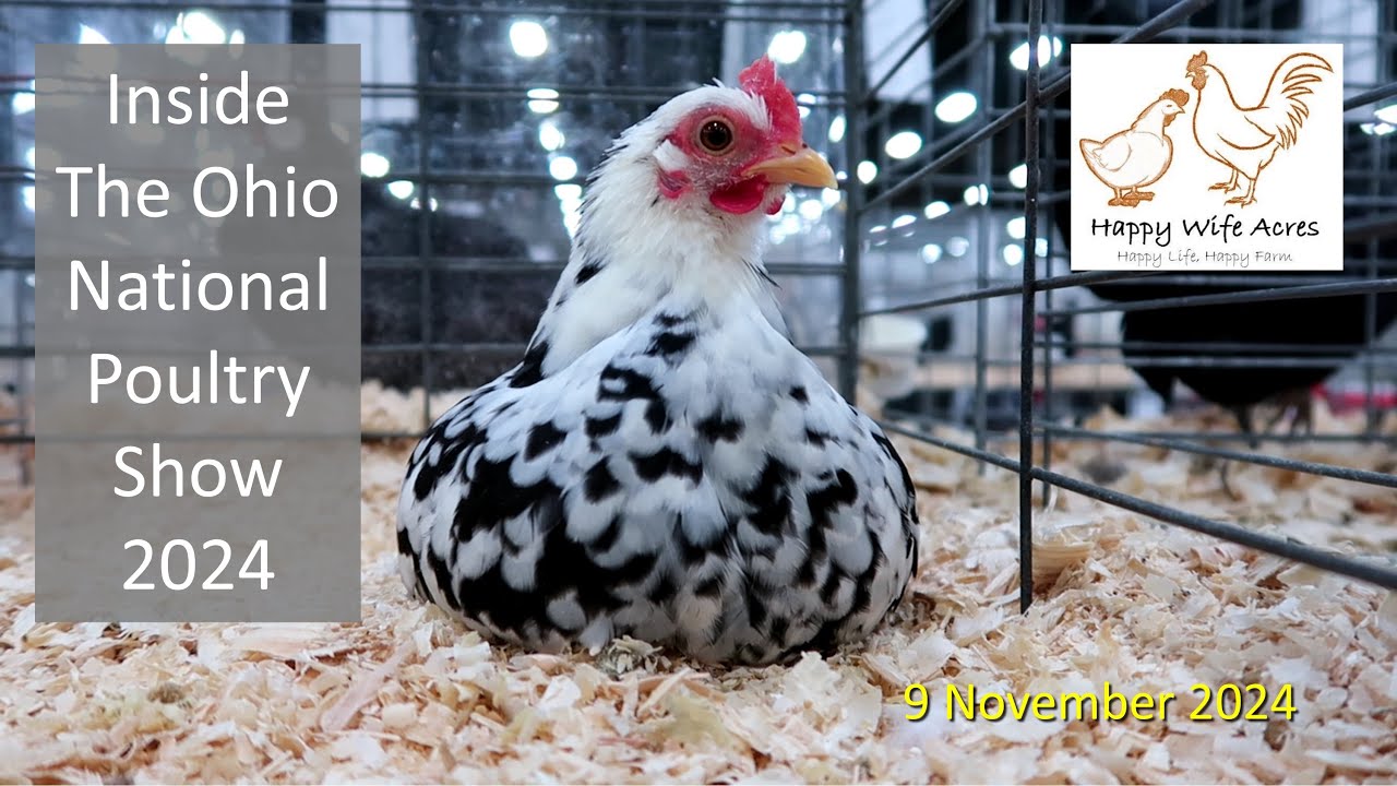 Inside The Ohio National Poultry Show 2024