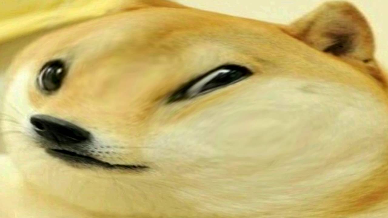 Random 420 Doge